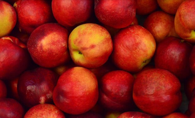 Яблука, фото: pixabay.com