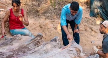 В начале этого месяца начались раскопки окаменелости (Изображение: Факультет наук)