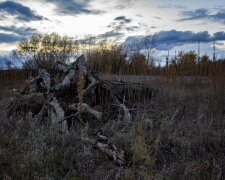 Погода в Украине, фото: Пикабу