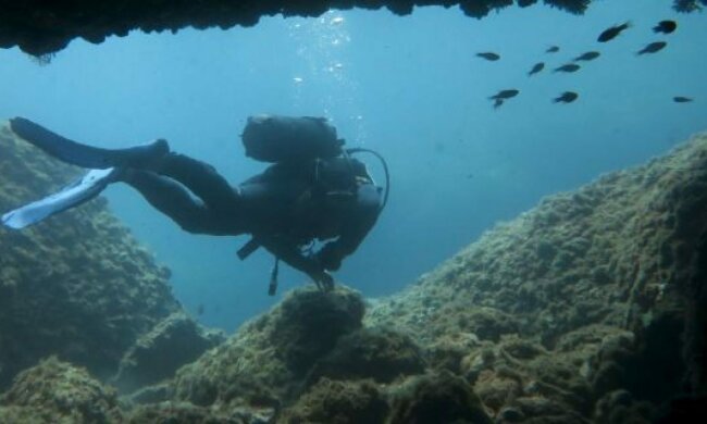 Гігантська отруйна тварюка влаштувала аквалангісту перевірку на міцність: фото не для слабкодухих