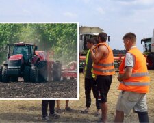 Цены на зерно в Украине на фоне мирового аграрного кризиса