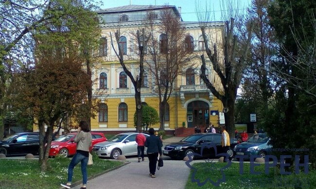 Тернополяни одружуватимуться частіше