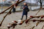 Погода в апреле фото: Невероятная Украина
