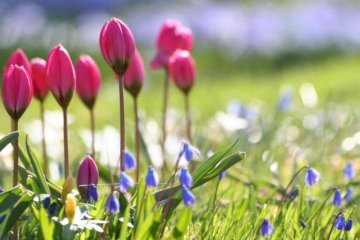Синоптики рассказали, когда вернется весна