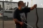 Змієлов, скріншот: YouTube
