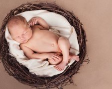 Анексований півострів оминають лелеки