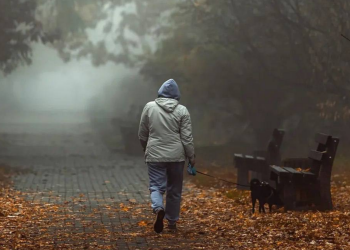 Українці, осінь, туман, фото із соцмереж