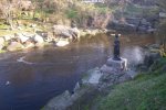Сначала Припять, теперь Закарпатье: экологи предупредили о страшной катастрофе