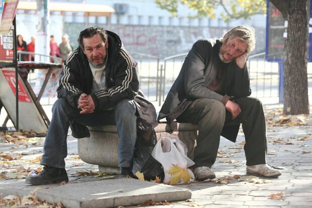 Бездомные, фото: pikabu.ru