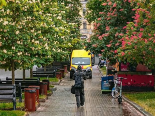 Українці, каштани, фото із соцмереж