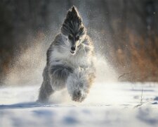 Найкращі анекдоти на вівторок 11 січня надихнуть вас на подвиги