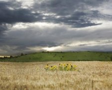 Сьогодні Україну накриє зливами і грозами