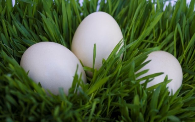 Напередодні Великодня: народні методи фарбування яєць