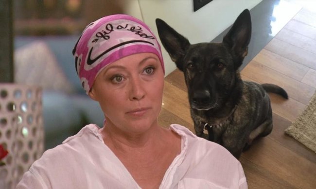 Звезда "Беверли Хиллз" смертельно больна (фото)