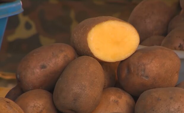 Картофель, скриншот: YouTube