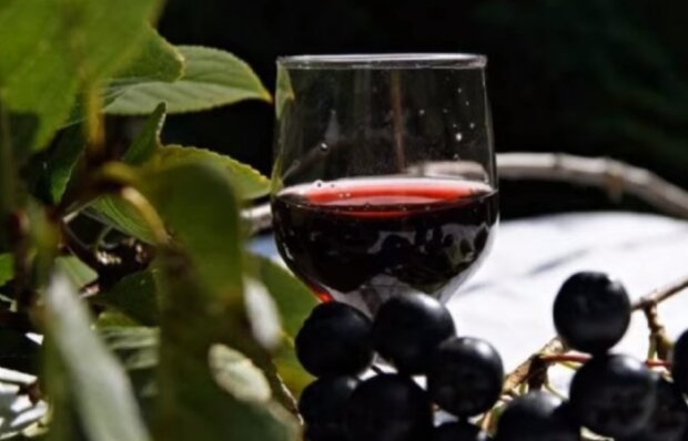 Вино из черноплодной смородины, скриншот: YouTube
