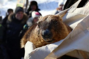 Бабак Тимко розповів дещо про погоду і Марс