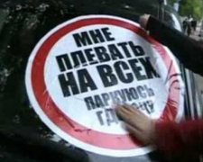 Очередной герой парковки стал "директором мудаков"