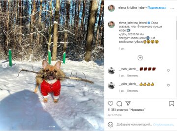 Олена-Крiстiна Лебідь, скріншот: Instagram