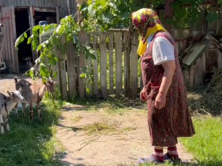 Пенсионерка. Фото: скрин youtube