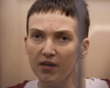 На "очищення" Росії після справи Савченко підуть десятки років - Фейгін 