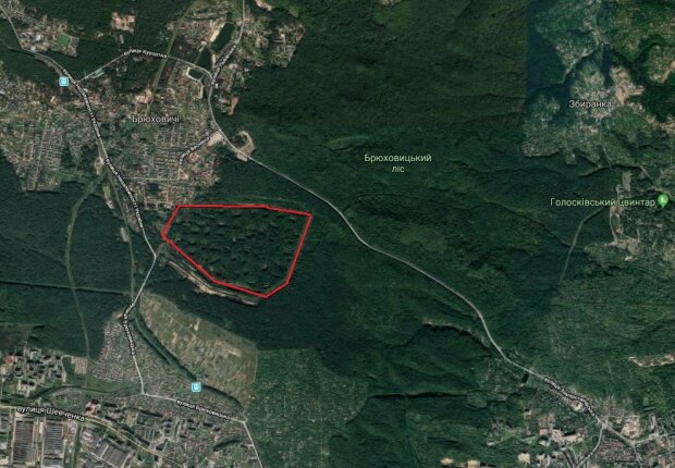 Садовий побудує Діснейленд для маленьких львів'ян