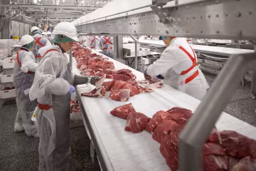 Кошмар наяву: киевский центр онкологии превратили в мясной конвейер, кровавые кадры не для слабонервных