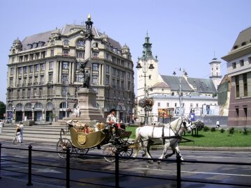 Жахливе місиво: у Львові перелякані коні знесли лавочку з людьми, постраждала дитина, - фото не для вразливих