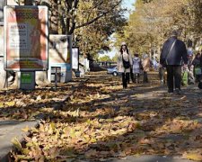 Николаев похоронен в листве: коммунальщики игнорируют (фото)
