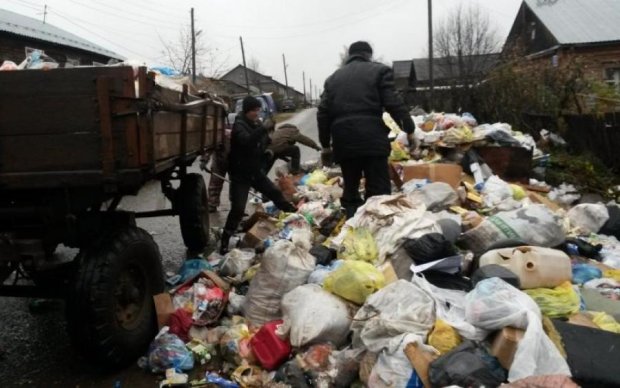 Мертвые свиньи и пластик: как украинский мусор убивает европейскую экологию