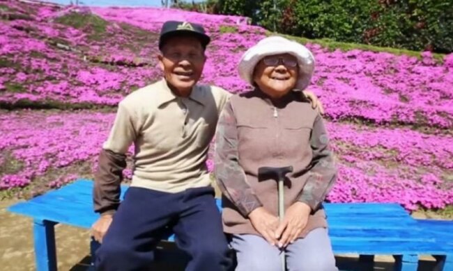 Влюбленный мужчина вырастил во дворе тысячи цветов для слепой жены (фото, видео)