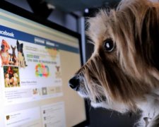 Эта новость заставит вас задуматься: на какие заголовки клюют в Facebook