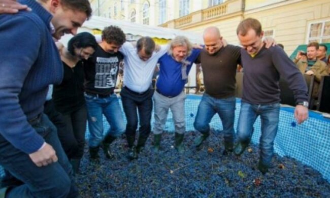 Відомі львів'яни на Святі сиру та вина топтали виноград