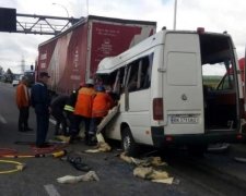 Фатальное ДТП в Житомире: появился список жертв и неожиданная подробность