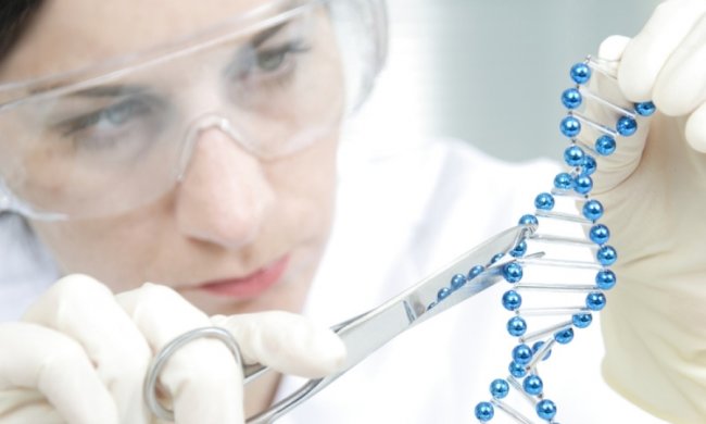 Вчені перетворили живі клітини на мікрокомп'ютери
