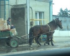 Сотрудников "Новой почты" пересадили на лошадей и взорвали сеть: "Быстро и надежно"