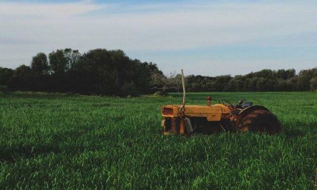 Польські інвестори продали акції "Кернел" через корупційні скандали