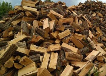 Дрова - фото torg.ukr.bio