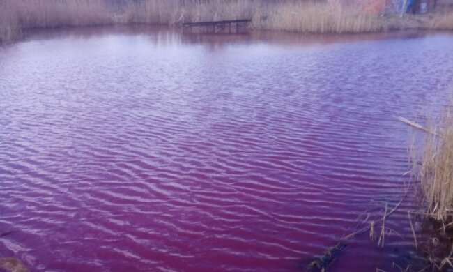 Екологи перевірили "рожеве" озеро на Чернігівщині