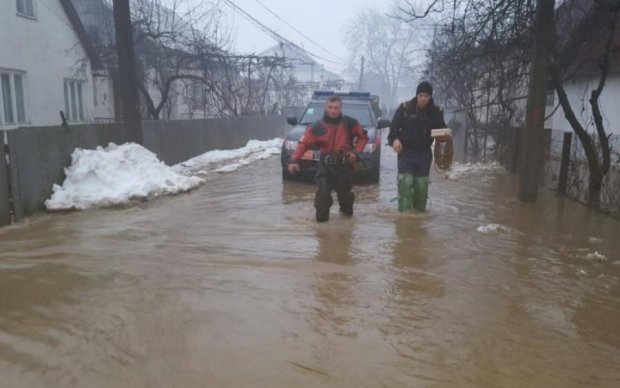 Масова евакуація: українці змушені тікати з домівок