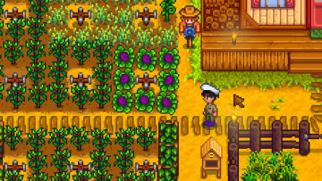 Stardew Valley