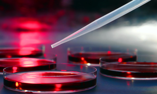 Бразильские медики "стерилизовали" опасный вирус