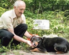 На Волыни появилась местная Хатико. Трагическая история