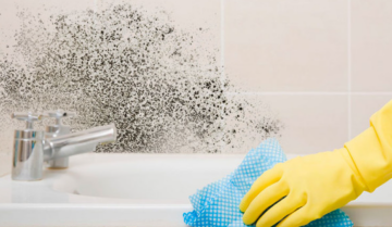 Плесень в ванной, изображение из свободных источников