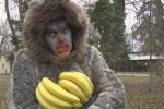 Директор одеського зоопарку зіграв у кліпі мавпу (відео)