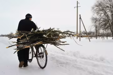 Дрова, зображення з вільних джерел