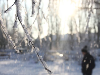 морози, снігопад