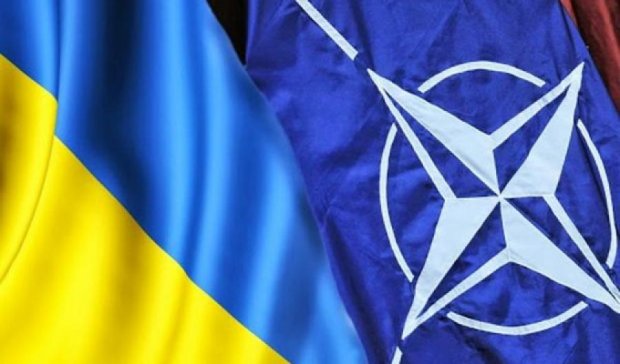Реформы украинской армии очень медленные - НАТО