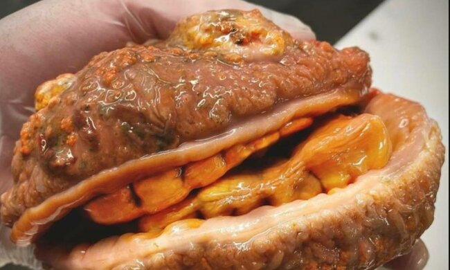 Неизвестная рыба