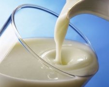 Мысли учёных относительно полезности кефира разошлись
